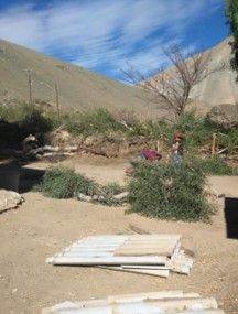 Emergencia Aluvión de Atacama (Alto del Carmen), foto 16